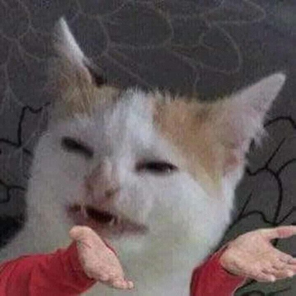 Meet your Posher, Stevie - Picture 1 of 1